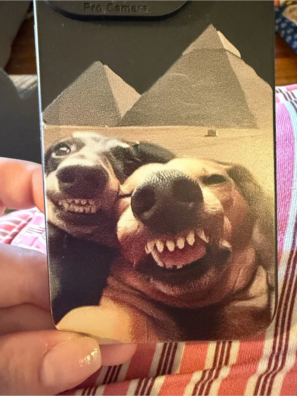 Cute Dog Funny Phone Case, Dachshunds, for IPhone 15 pro